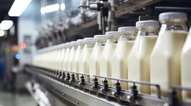 Crisis en el consumo de lácteos: ¿por qué crece entonces la producción?