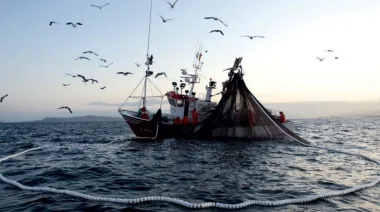 Pesca ilegal: cómo son los controles y prohibiciones que mandó Milei al Senado