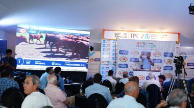 En Expoagro 2026, los negocios ganaderos ya picaron en punta