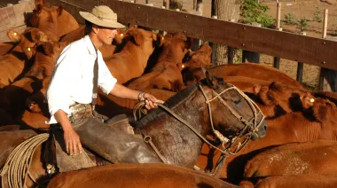 Día del Ruralista Argentino: su rol clave en la economía del país