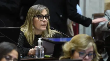 Soria y Di Tullio acusaron a Milei por Libra y estalló el Senado