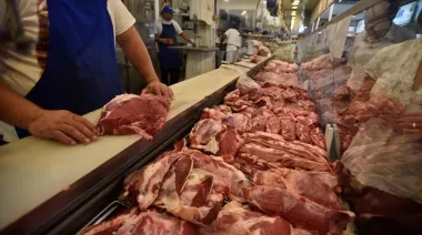 Consumo de carne por el piso: ¿cuántos kg se pueden comprar con Milei vs. Cristina?