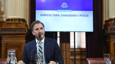 El Congreso rearmó las comisiones del agro: Nombres, promesas y la nueva agenda