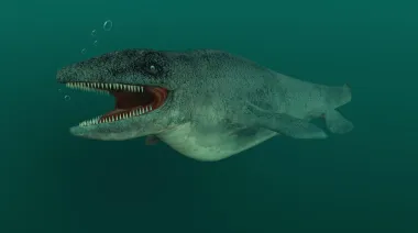 Nuevo León y un fósil que cambia lo que se sabía del mar en México