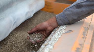 El consumo de fertilizantes creció 3% en 2025, pero no alcanzó para mejorar la calidad del trigo