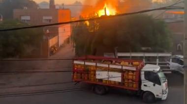 PBA: advertencia del Consejo de Química tras incendios en Merlo y Moreno