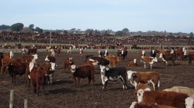 Menos oferta en UE y cambio de ciclo en Brasil: qué pasa con la carne en el mundo