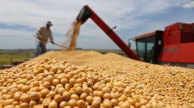 Luis Caputo proyectó más exportaciones y la SRA respondió con un reclamo