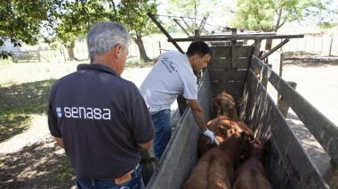 CRA y las críticas por la fiebre aftosa: "El Gobierno cometió un error"