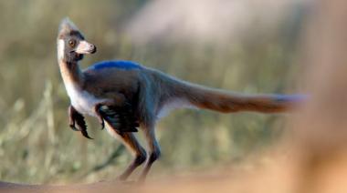 El Alnashetri en Patagonia: hallazgo que desafía teorías evolutivas