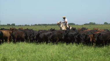 Tensión por el cobro de la guía ganadera: qué plantea la Sociedad Rural de Río Cuarto