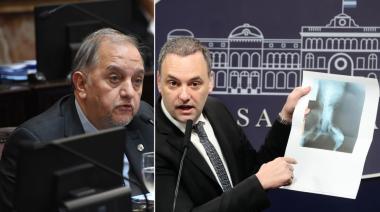 De la "cola del perro" a "deslomarse": el carpetazo contra Adorni en el Senado