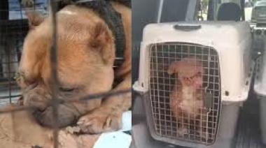 Salta: condena a un hombre por criadero ilegal y le imponen reglas de conducta