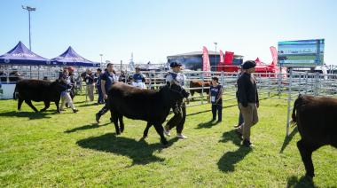 “Los productores ganaderos ven previsibilidad y esto es algo extraordinario”