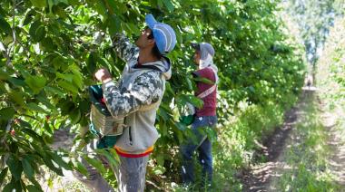 UATRE fijó nuevos salarios: cuánto cobrará un peón rural en mayo