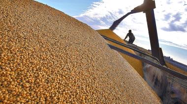 Semillas: el plan de Sturzenegger para ordenar ventas y proteger variedades