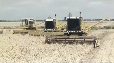 Malvinas y el campo: los números del agro en 1982 frente a la campaña actual
