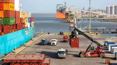 SENASA al límite: las causas de fondo detrás del freno de las exportaciones