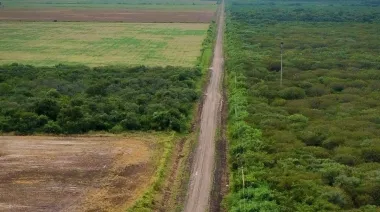 Chaco, Milei y un aval clave de USD 30 millones: qué pasará con la Ruta 13