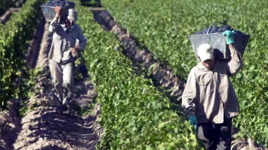 Bodegas y viñedos: cómo fue el acuerdo salarial que cerró FOEVA
