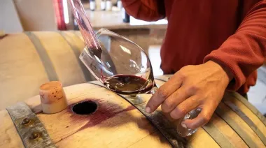 Noche de Bodegas llega a Centenario para celebrar el vino argentino