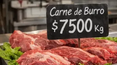 Carne de burro: el inesperado reemplazo que crece mientras cae el consumo