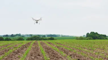 Buscan regular por ley las aplicaciones con drones en el agro de PBA