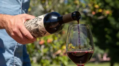 Día Mundial del Malbec: el detalle que explica su dominio en Argentina