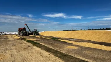 “No se explica esta saña”: sospecha y bronca en el campo por daños a silobolsas