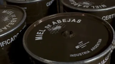 Agricultura informó que las exportaciones de orgánicos crecieron 31% en 2025