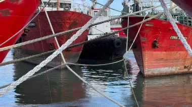 Alerta en Mar del Plata: Peligran miles de empleos ante un cambio para la pesca