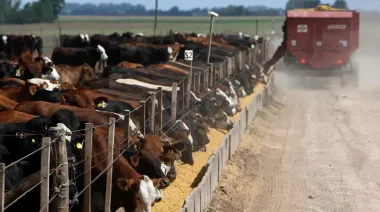 Federico Storni seguirá al frente de la Cámara Argentina de Feedlots