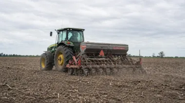 El campo estira su definición de cara a la siembra de trigo en PBA: los motivos
