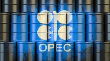 La OPEP pierde peso y Argentina abre una ventana para exportar más