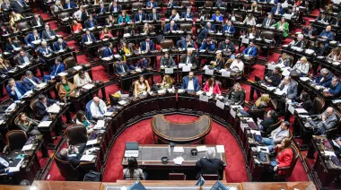 Senado debate la reforma de Salud Mental: internaciones involuntarias y adicciones