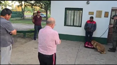 Viajaban con cápsulas en el cuerpo y pidieron irse del país sin cumplir la pena