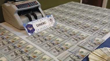 Dólares y una contadora de billetes: una banda movió casi $20 millones en menos de dos meses