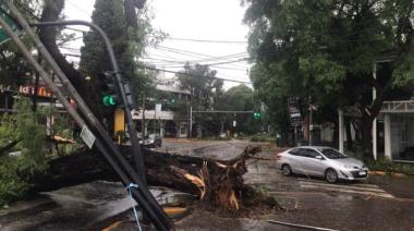 Temporal en el AMBA: ráfagas de 100 km/h y miles de usuarios sin luz