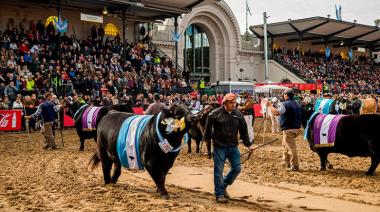 Qué pasó en el agro: interna en la SRA y pesca en alerta en Mar del Plata
