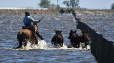 Inundaciones en Santa Fe: Pullaro anunció créditos por $17.960 millones