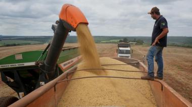 Brasil estima una cosecha récord de soja: qué número esperan