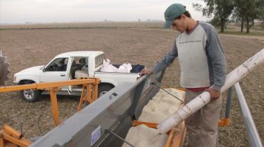 Guerra en Medio Oriente: cómo repercutió en los precios de urea y el gasoil