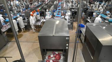 Consorcio ABC: las exportaciones de carne sumaron USD 1.070 millones en 3 meses