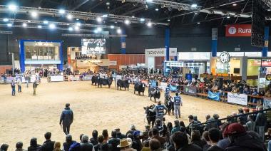 La Asociación Argentina de Angus presentó la Expo de Otoño 2026 en La Rural