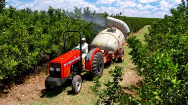 CONINAGRO publicó su semáforo regional: qué actividades quedaron en rojo