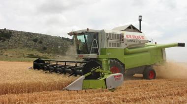 Según Agricultura, la cosecha 2025/26 superará las 160 millones de toneladas