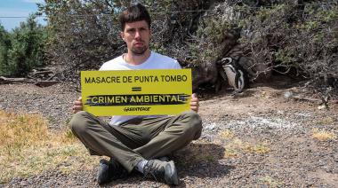 Caso Punta Tombo: el Tribunal define la condena por la matanza de pingüinos