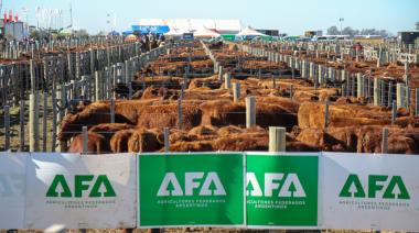 La renovada Agroactiva ganadera: más negocios, genética y lechería en un solo lugar
