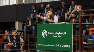 Remate récord en Corrientes: se pagaron $40 millones por el 50% de un toro Brahman