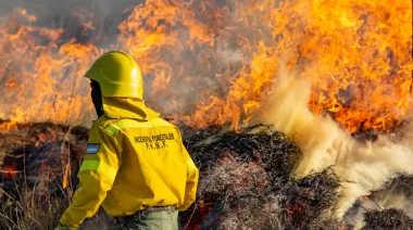 Día del Combatiente de Incendios Forestales: por qué su trabajo protege vidas